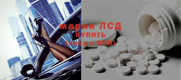 индика Алзамай