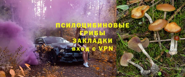 бошки Алексеевка