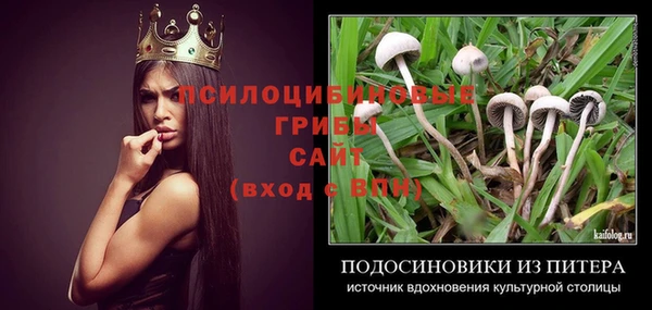 индика Алзамай