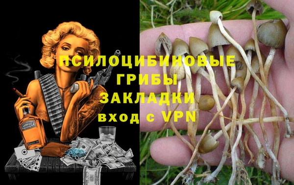 дживик Алексин