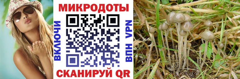 Галлюциногенные грибы прущие грибы  где продают наркотики  Бокситогорск 
